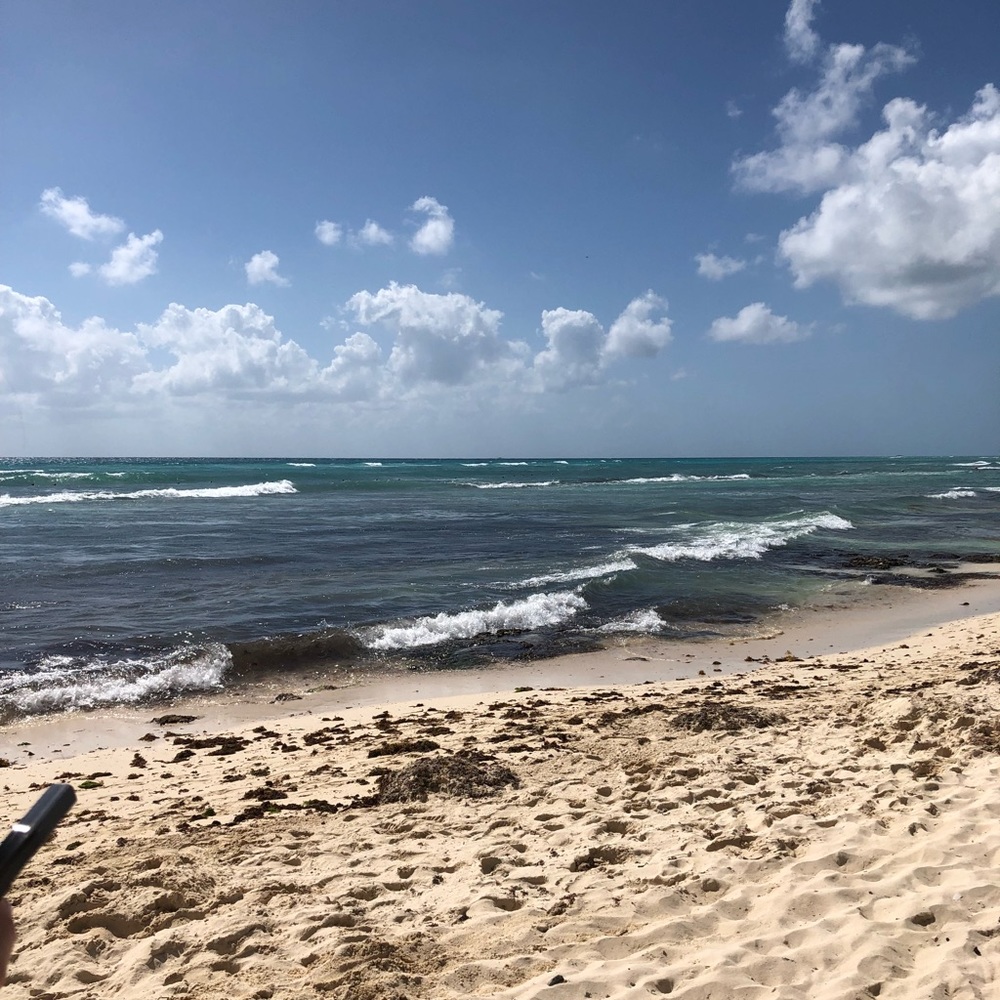 Meet your Posher, Sara